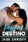 Livro Páginas do Destino: Uma Nova Chance para a Romancista e o Bilionário
