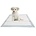 PrincePaws Pet Training Puppy Pads - Pee Pads for Dogs 100 Count with Adhesive Tape, Large 24x24, Toilet Potty Pet Pee Pads for Dogs, Cat Litter Pads, Absorbent Waterproof Urine Disposable Dog Pads