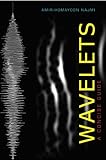 Wavelets: A Concise Guide