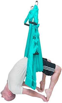 Omni Swing Omni Gym Pro - Padded Yoga Swing for Inversion Therapy, Aerial Fitness, Back Pain