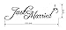 ACCENTORY Just Married Car Paper Window Sticker Window Cling White Decal Sticker for Wedding Day Car Back Window Mirror