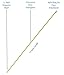 Innovative Scuba Concepts for Florida Spiny Lobster Season - Aluminum