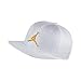 Nike Air Jordan Jumpman Elephant Ignot Pro Men's Snapback Hat