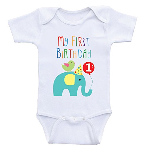First Birthday Baby Clothes "My First Birthday" Onesies For Babies (12mo-Short Sleeve, SeaFoam Elephant)