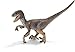 SCHLEICH Velociraptor