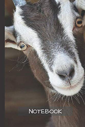 Goat Notebook: Small lined Goose notebook - Travel Journal to write in - 120 pages - 6"x9"