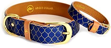 ArgusCollar Dog Collar with Matching Friendship Bracelet - Blue Dog Collar L 43cm -51cm (17"-20")