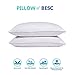 Standard / Queen Size, Goose Feather and Down Bedding Pillow Insert, Pack of 2, Hotel Collection Pillows for Sleeping, 100 Percent Nature Cotton Shell, (Size 18x26