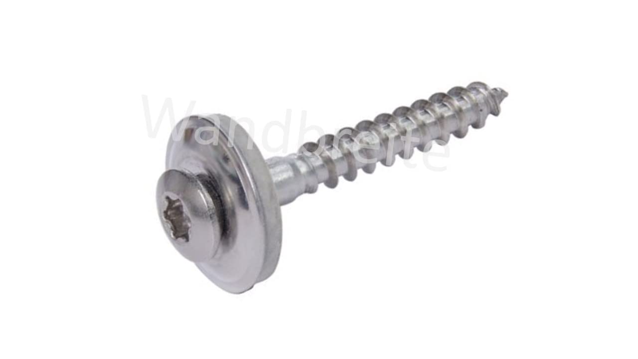 Spengler Screws Made of Stainless Steel V2A Rustproof 2-Piece with EPDM Sealing Washer D15 mm TX20 Drive Torx DIN 7995 ISO 3506 (4.5 x 60 mm, 100)