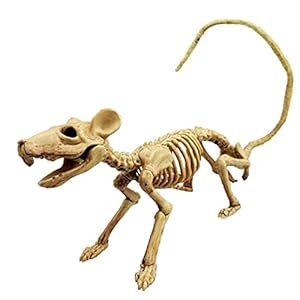 Halloween Rat Skeleton Prop Perfect Halloween Decoratie Voor Partijen of Accessoire Voor Kostuums Plastic Animal…
