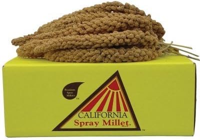 California Golden Spray Millet for Birds by Golden Farm