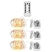 INLIFE LED String Lights with Remote Control, LED Waterproof Decorative Lights Dimmable, Copper Wire Lights for DIY Bedroom, Patio, Garden, Wedding, Parties (Warm White)[2 Packs]