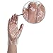 AMMEX Embossed Polyethylene Disposable Gloves - Clear, 1 Mil, Food Service, Small, Box of 500