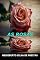 Livro As Rosas