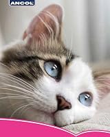 Ancol Ergo Cat Moulting Comb Pink - For Long-Hur Coat, Removes Tangles view 4