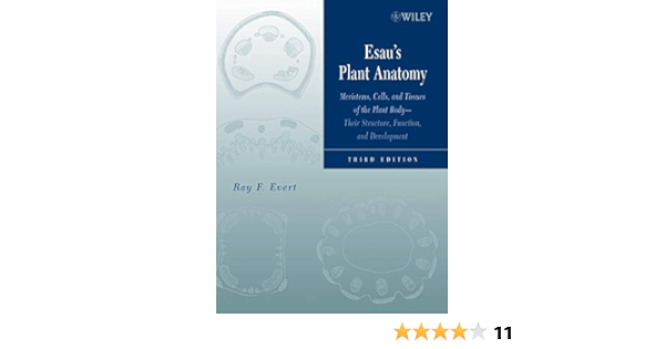 Amazon Com Esau S Plant Anatomy Meristems Cells And Tissues Of The Plant Body Their Structure Function And Development 3rd Edition 0000471738433 Ray F Evert Susan E Eichhorn Books