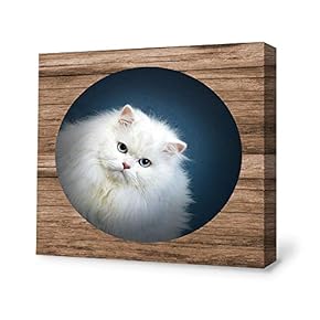 Canvas Wall Art White Cat Canvas Painting Wall Poster Decor for Living Room Framed Home Decorations - 12x12 inches