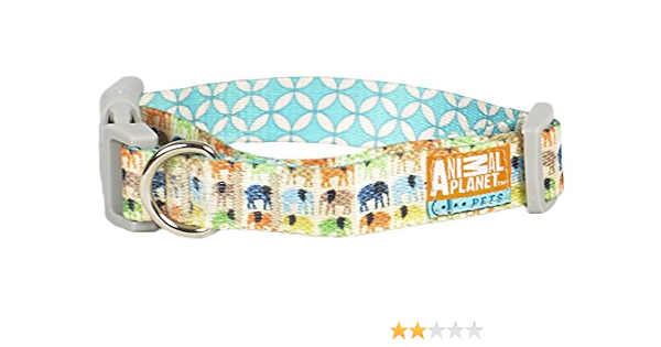 Amazon.com: Animal Planet Collar ajustable, multicolor, XS y multi : Todo  lo demás