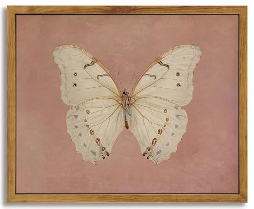 Vintage Butterfly Wall Art Print