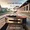 Livro O NOME ERRADO NA COLEIRA DO CACHORRO: Um romance sobre destinos cruzados, segredos antigos e a busca por identidade.