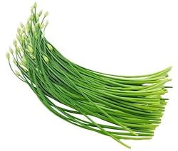 2025 Early Bird-Garlic Chive Seeds for