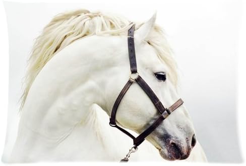 Stylish Animal Pretty White Horse Custom Queen Size Pillowcase DIY Pillowslips Roomy in Size 20 30 Inch