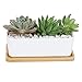 CINOTON Succulent Plant Pots Indoor, 6.69 inch Ceramic Planter Set, Square Flower Pot with Bamboo Tray for Cactus Decor Bedroom Garden Decorations