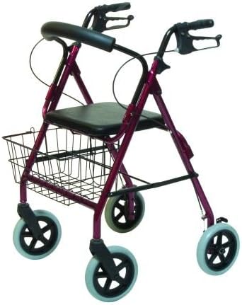 walkabout baby walker