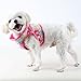 Puppia Authentic Spring Garden Harness B, Pink, Medium
