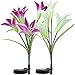 Solar Garden Stake Lights - 2 Pack Outdoor Solar Powered Lights with 8 Lily Flower, Multi-Color Changing LED Solar Decorative Lights for Garden, Patio, Backyard Decor (Purple & White)