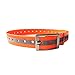 PetSpy Reflective Dog Training Collar - Safe at Night and Odor Free Adjustable and Durable, Orange