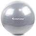 SmarterLife Exercise Ball Yoga Ball for Fitness, Balance, Stability, or Pregnancy, Gym Ball for Core Workout, Physical Therapy, Yoga Ball Chair for Office, Anti-Slip Anti-Burst (65 cm, Silver)