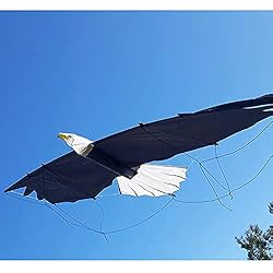 Revolution Kites Eagle Sport Wing with Reflex
