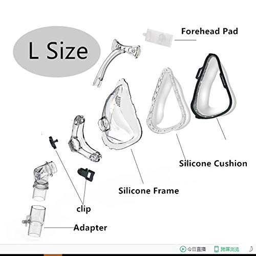 Full Face Mask- Size Large