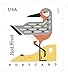 Coastal Birds Postcard Stamps 100 stamps (5 Sheets of 20 Postcard Rate Postage Stamps) - United States Postal Service