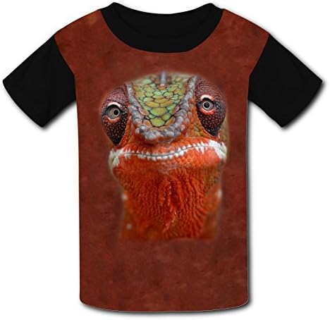 Round Collar 100% Polyester Fiber Classic Short Sleeve Top Tshirts For Boys Girls,Print Amphibians,Xl