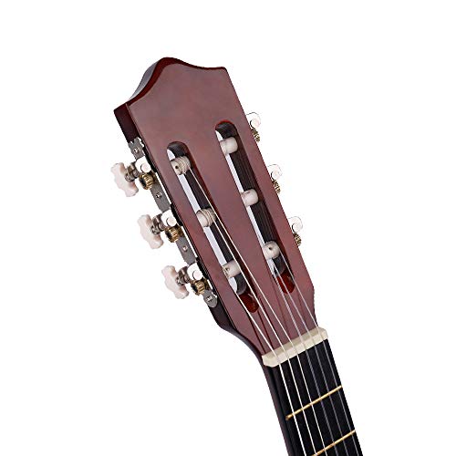 4 Classical+Acoustic+Beginners+Strings+Starter