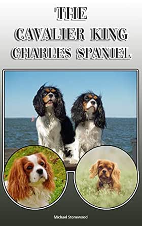 owning 2 cavalier king charles spaniels