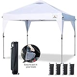 Pop up 10x10 canopy