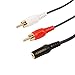 LIQUN 6-Inch 3.5mm Stereo Female to 2 x RCA Male Cable Adapter Gold Plated Connector Y-Cable