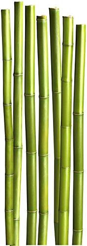 PLAGE 803913 STICKERS - WALL ADHESIVE Size 3XL - Bamboo, 170 x 60 cm