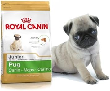 royal canin pug 3kg