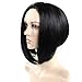 Secretgirl Short Straight Hair Bob Wigs Cosplay Party Wig for Women Black Heat Resistant Wig (#1)