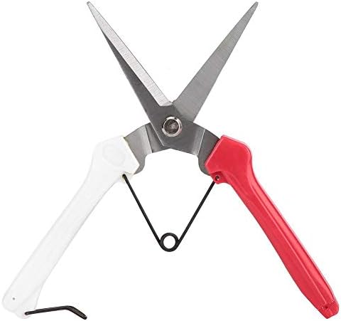 赤と白のステンレス鋼剪定鋏カッター園芸植物はさみ枝剪定ばさ