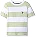 U.S. Polo Assn. Little Boys Birdseye Printed Stripe Crew Neck T-Shirt, Summer Lime, 5/6