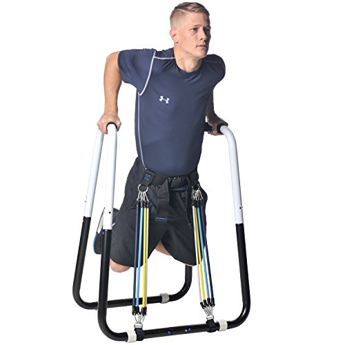 Ultimate Body Press Dip Station 2025