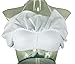 COCOSHIP Creamy White & Green Solids Retro Boho Flounce Falbala High Waist Bikini Set Chic Swimsuit Swimwear XXL(FBA)