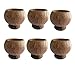 PARTYMASTER Natural Coconut Shell Cup，Hawaiian Summer Luau Party Cup