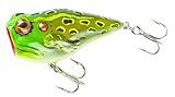 Rebel Pop'N Frog - Bull Frog