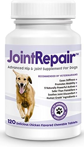 Advanced Hip & Joint Supplement for Dogs - Fast Natural Arthritis Pain Relief. Extra Strength Glucosamine, Chondroitin, MSM, Hyaluronic Acid & Omega 3 Fish Oil. Made in USA - Chewable Tablets.